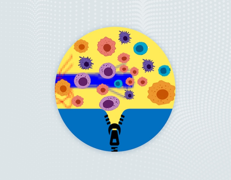 June 27-28, 2025 – MINIONS Team at Adaptive PT Workshop