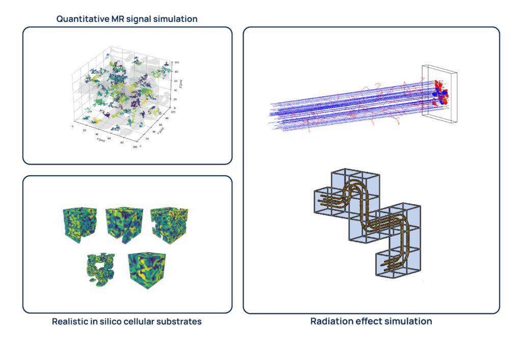 WP1 – Development of an Integrated Monte Carlo (MC) Simulation Platform