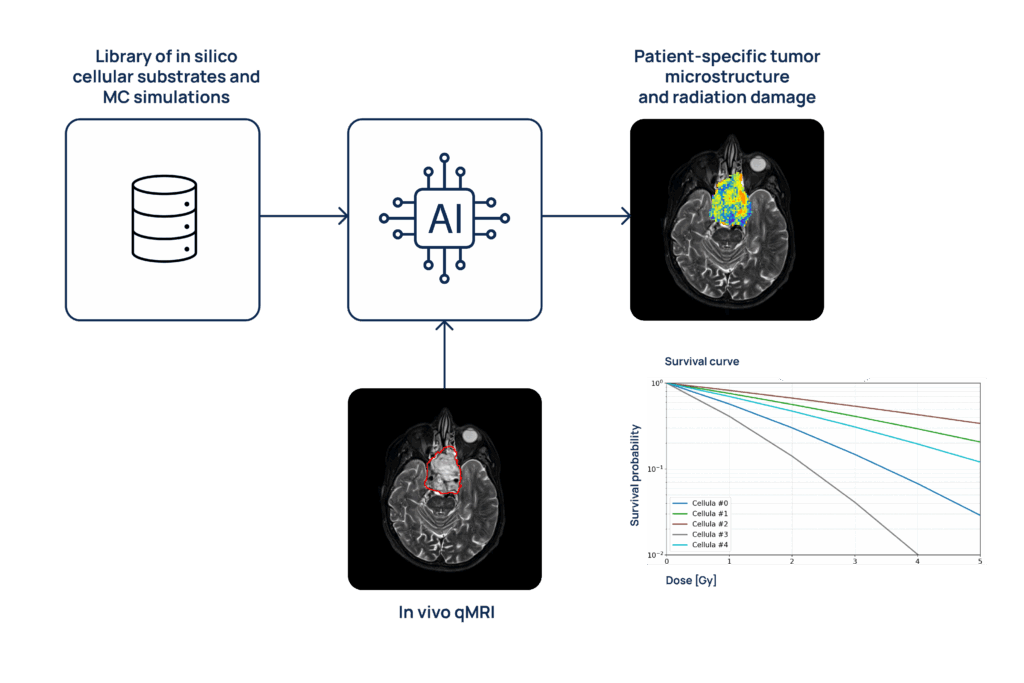 WP2 – Implementation of a Clinically-Compatible AI Model